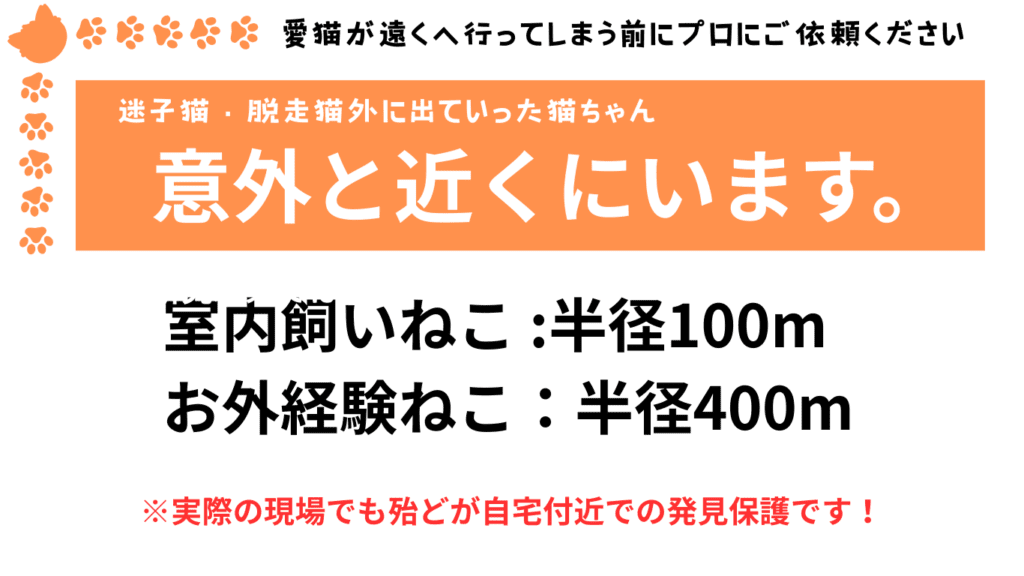 脱走後の猫の居場所