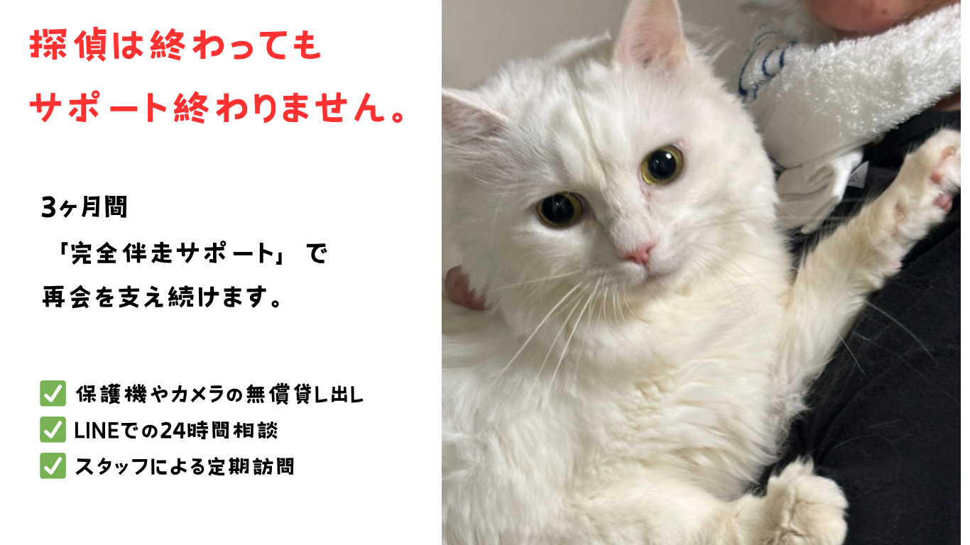 迷子猫捜索のプロフェッショナルな実績を示す画像。保護された猫たちの写真が5枚並び、「熟練スタッフの技術」で「高い保護率」を実現していることをアピール。