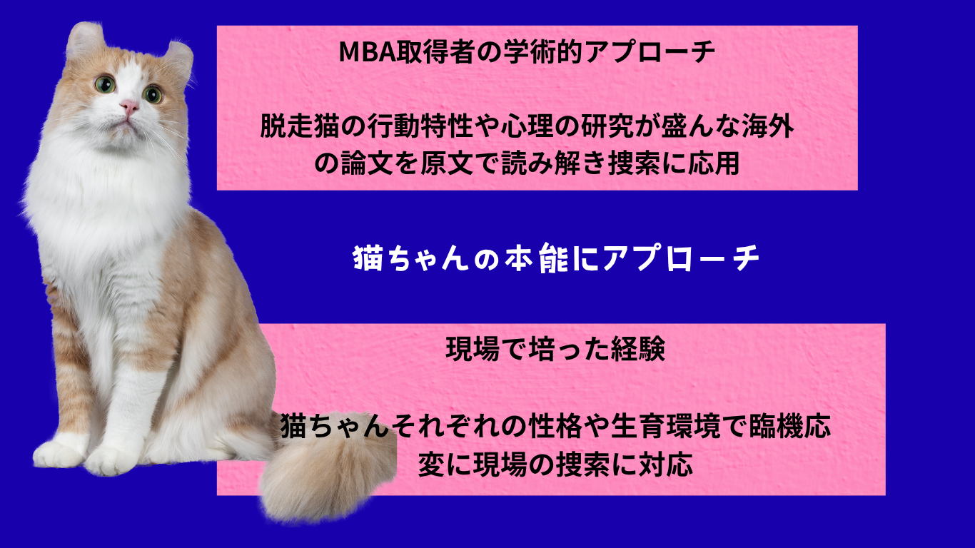 脱走猫捜索の料金プランを提示する画像。1日、2日、3日間の料金を猫の写真と共に表示。