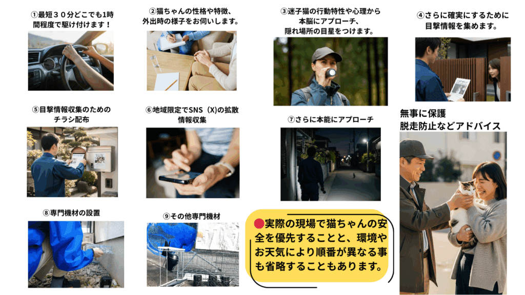 猫探偵捜索の流れ