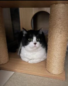 脱走から15時間後の保護