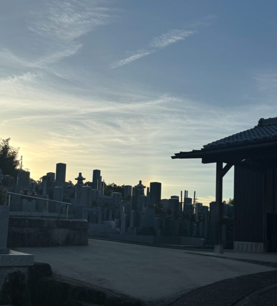 猫の涼を取る習性を応用した、夏の脱走猫捜索現場(科学的アプローチ) 専門知識の応用: 動物介護士の知識から、猫は皮膚呼吸ができず、夏の暑い時期は**「最も冷たい物質」**を求めると判断。
戦略的な場所の特定: この事実に基づき、住職様との信頼を築いた上で、冷たい石(墓石)がある墓地に捕獲機を設置するという論理的結論に至りました。