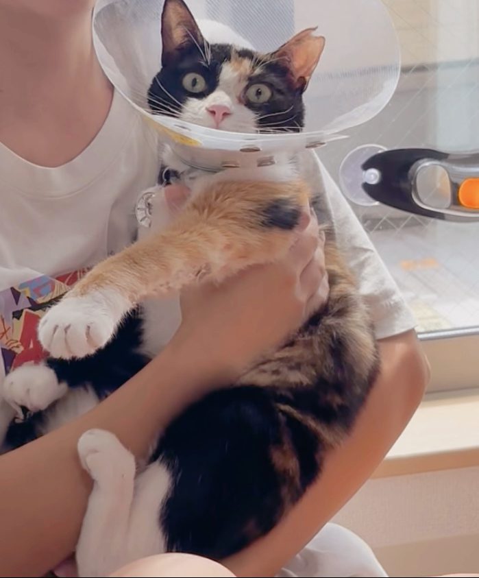 １７日ぶりの保護