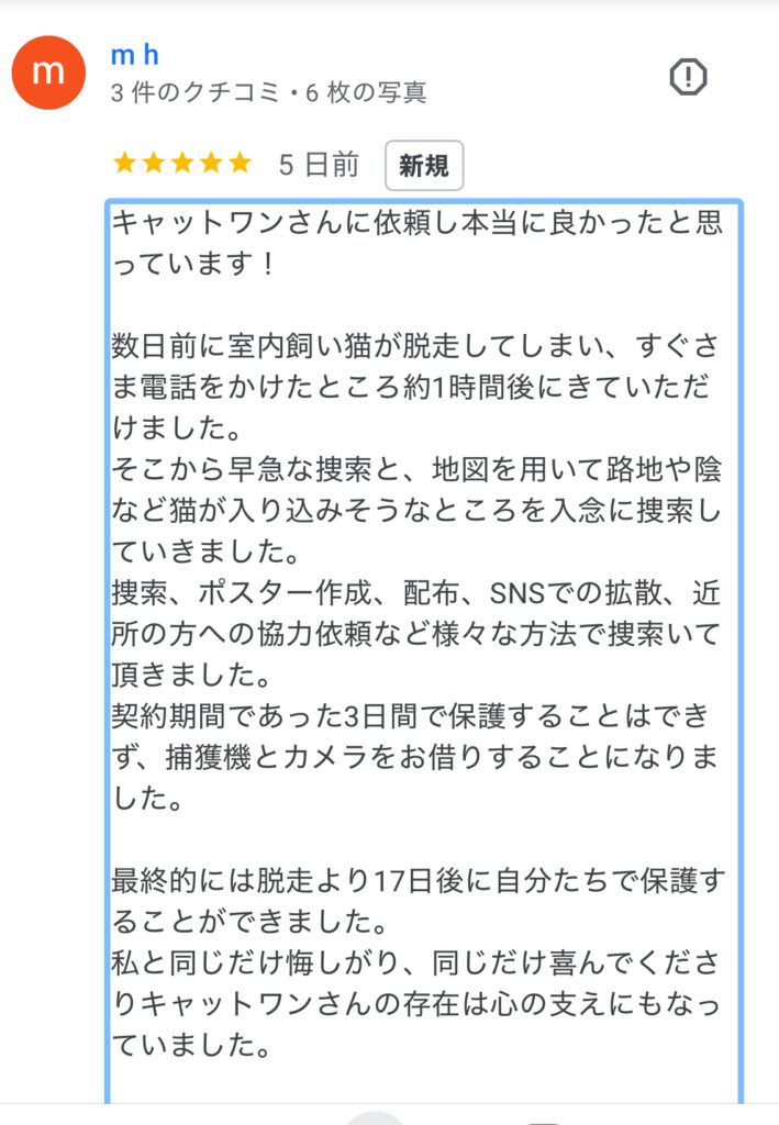 キャットワンの3ヶ月無料サポートで保護され、喜びの飼い主様の口コミ