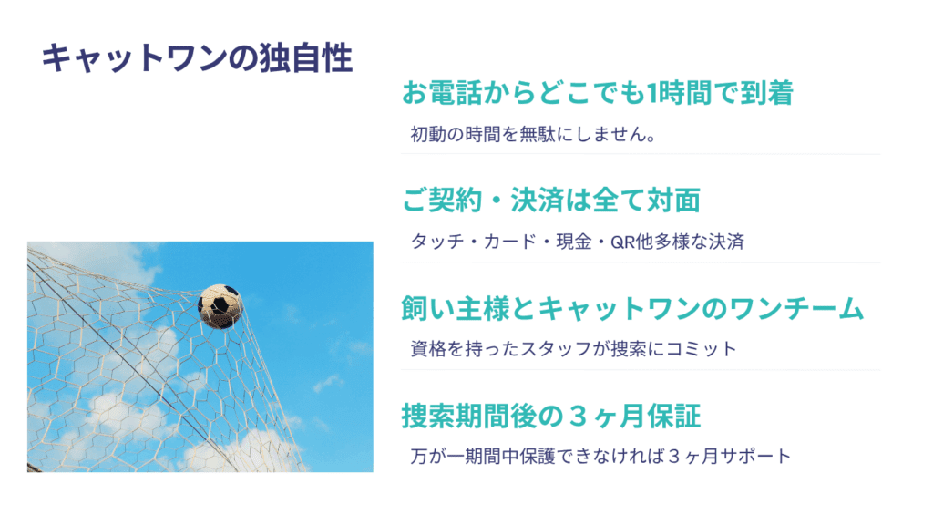 キャットワンにしかできない最高のサービス