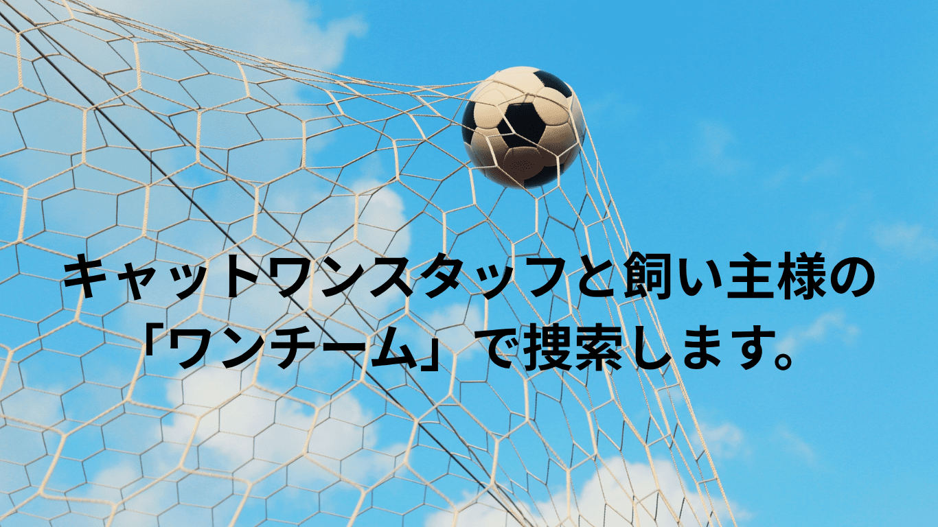 キャットワンスタッフと飼い主様のワンチームで捜索します。