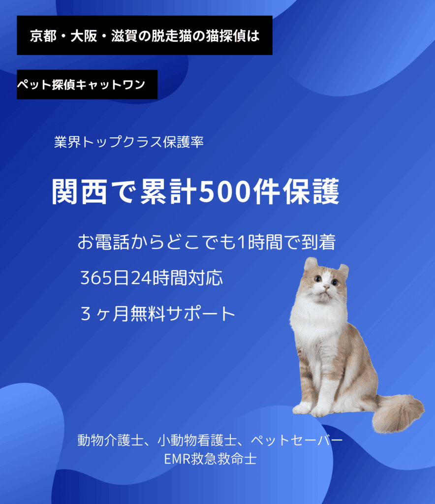 京都、大阪、滋賀猫脱走はペット探偵キャットワン。累計５００件保護の実績