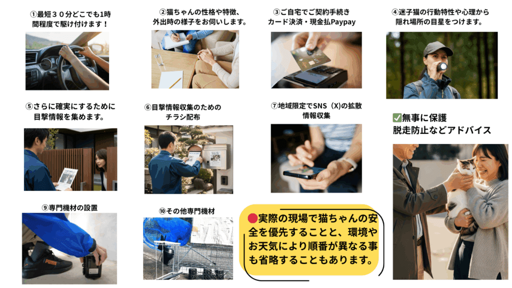脱走猫捜索サービスの受付から保護完了までのステップ。お電話での契約後、猫探偵による夜間の捜索、チラシ配布や聞き込み、そして専門機材を使った脱走猫の安全な保護までの一連の流れ。