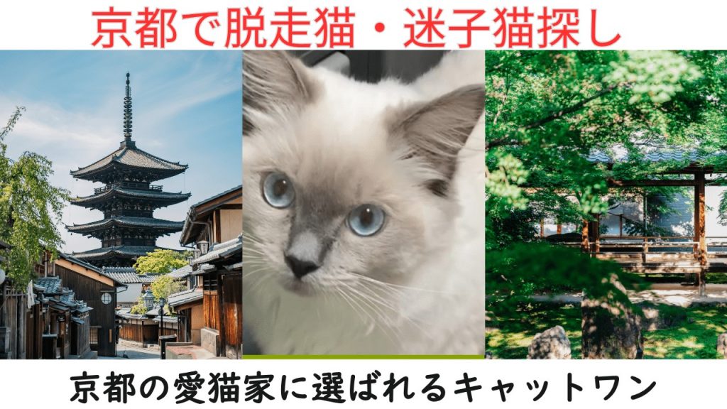 京都で脱走猫・迷子猫を探すキャットワンの案内バナー