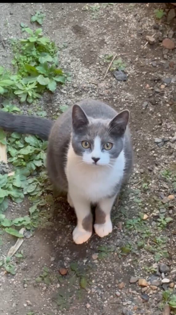 ４日ぶりの保護