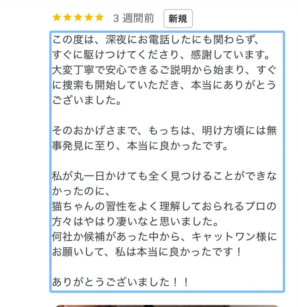 Googleマップに掲載されたキャットワンの評価画面
