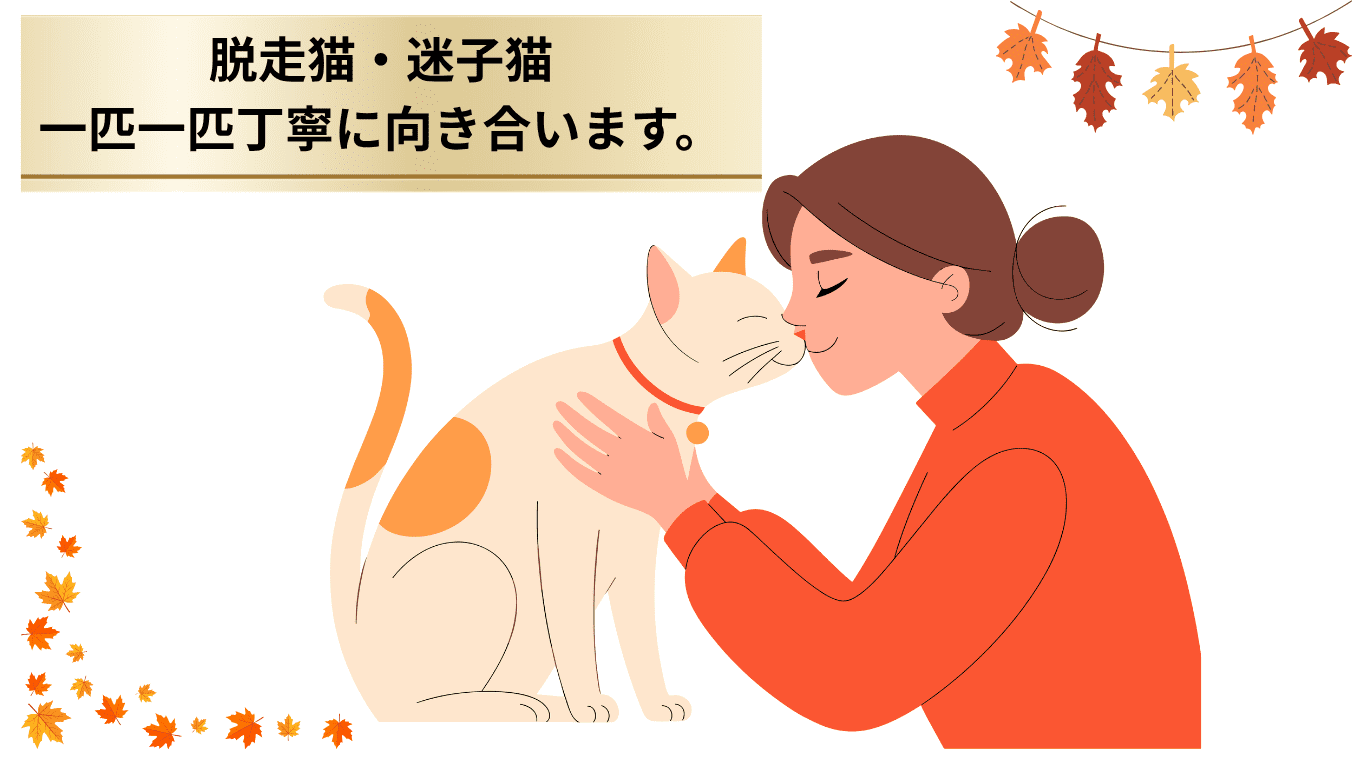 脱走猫一匹一匹丁寧に向き合います。
