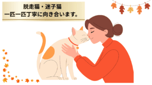脱走猫・迷子猫一匹一匹と丁寧に向き合う宣言