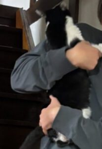 保護の後のお喜びの飼い主様