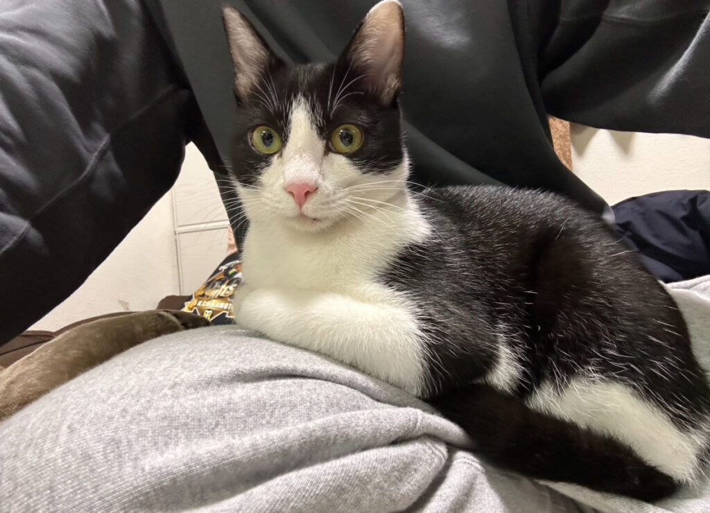 ご依頼から5時間後に保護