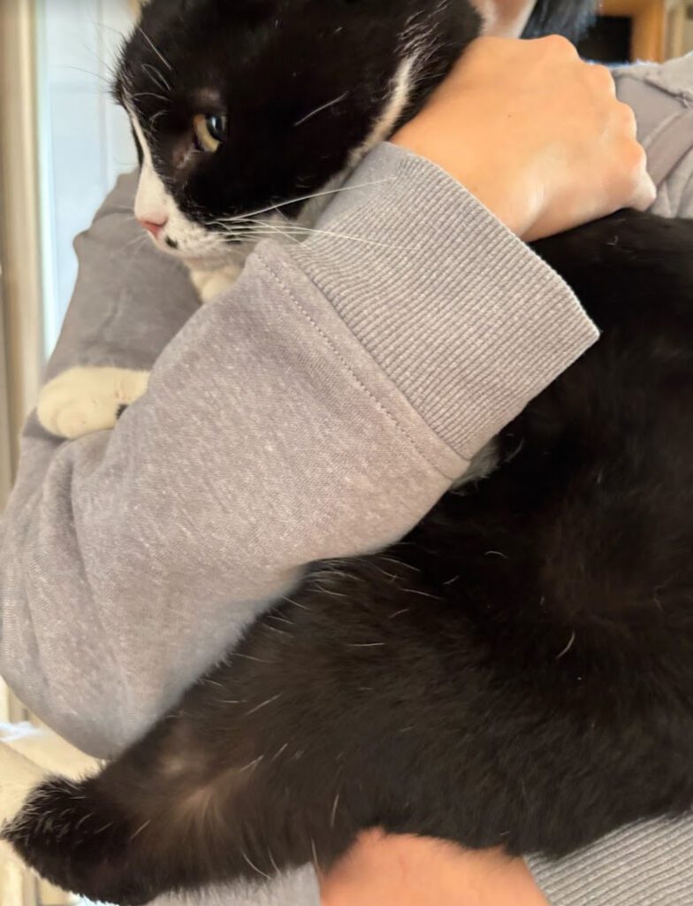 再会が叶ってお喜びの飼い主様