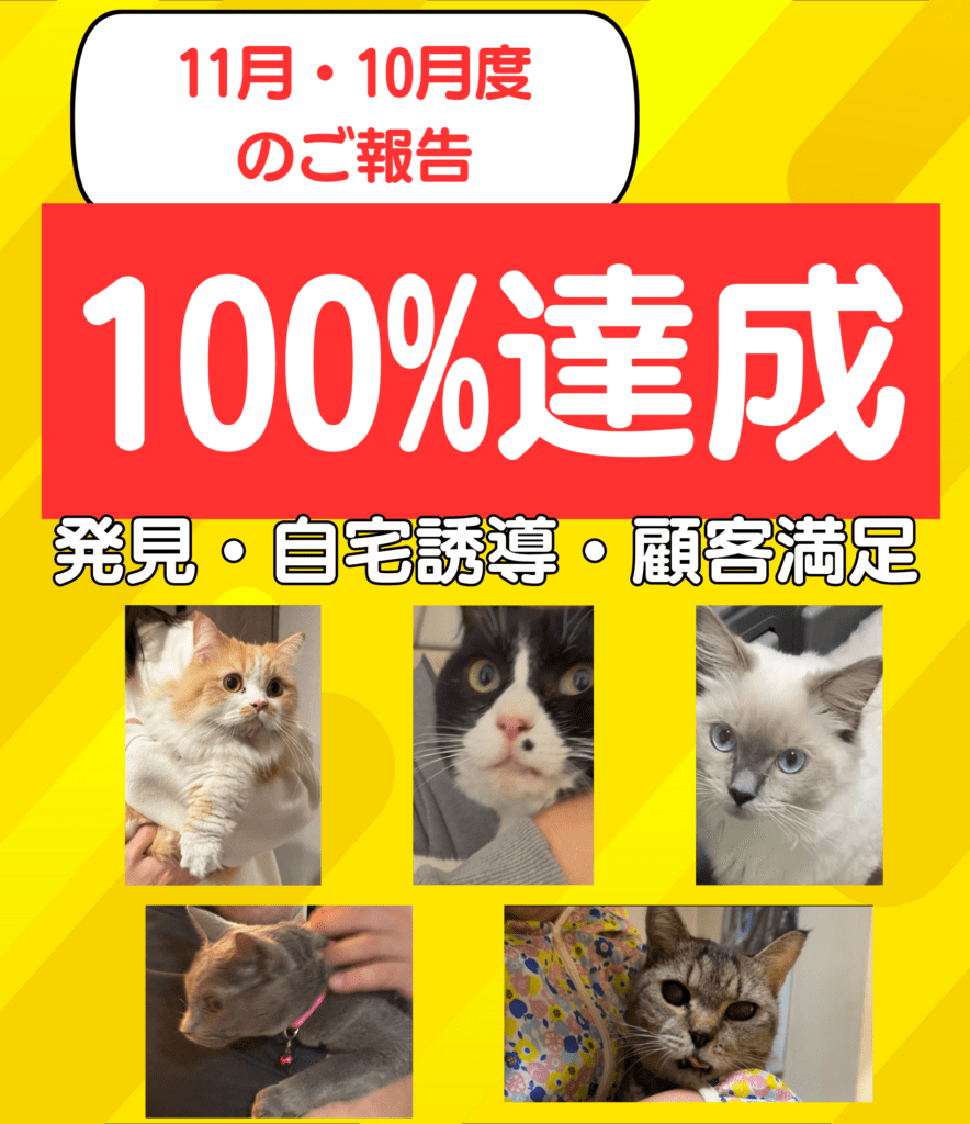 11月10月発見100%達成