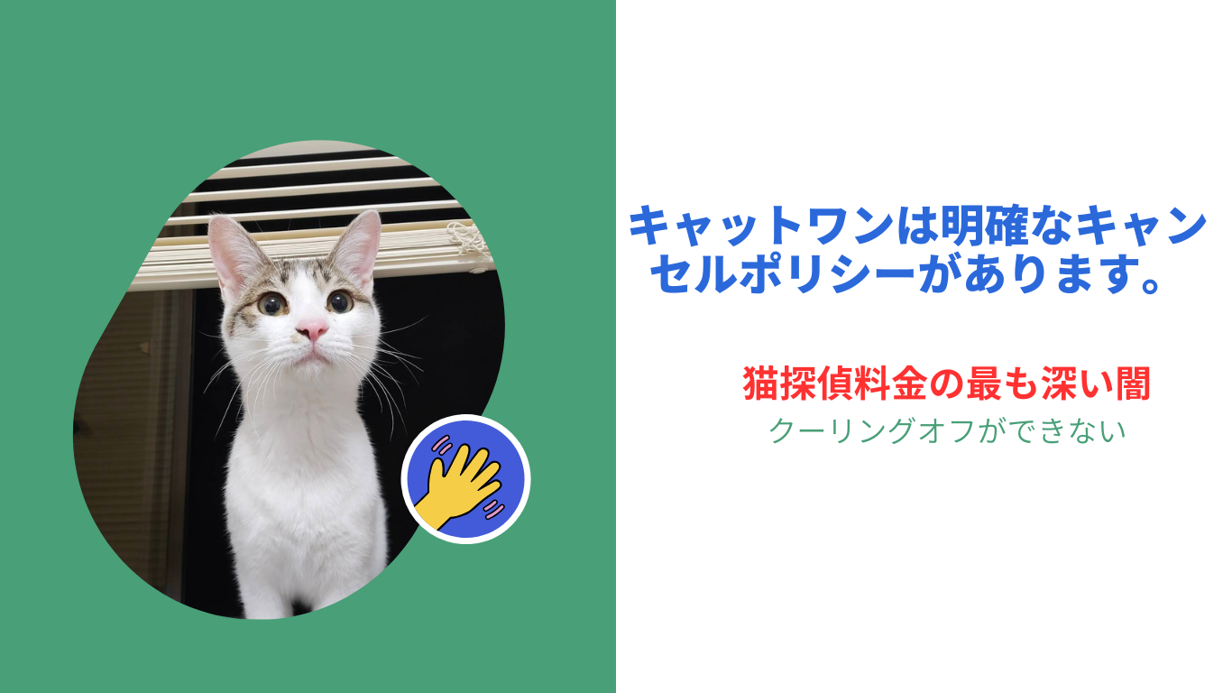 猫探偵料金の最も深い闇