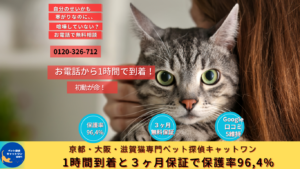 ねこ脱走は初動が命、1時間で駆けつけるキャットワン