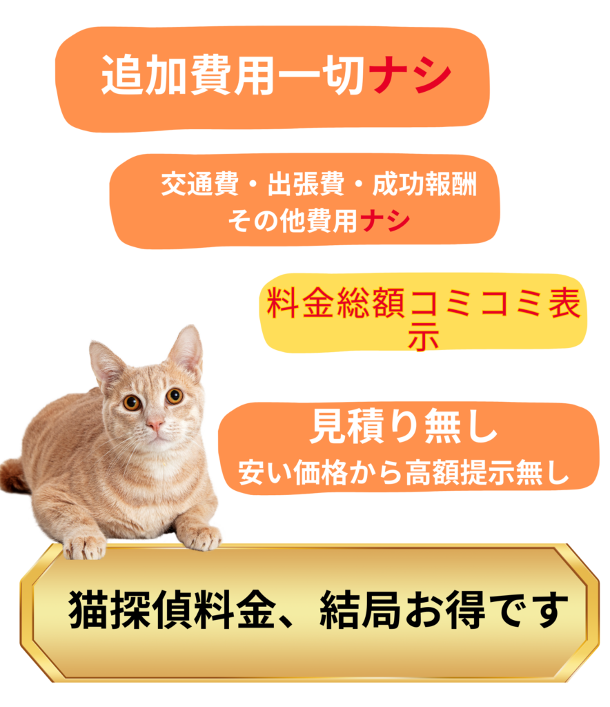 透明性の高い料金