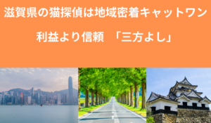 滋賀県で実績多数の猫専門ペット探偵キャットワン