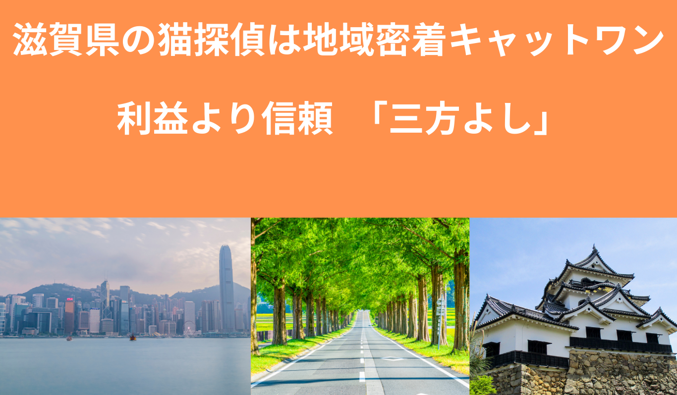 滋賀県で実績多数の猫専門ペット探偵キャットワン