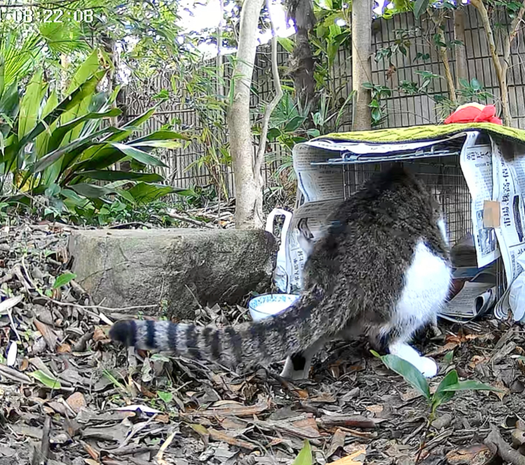 滋賀県栗東市1ヶ月後の保護