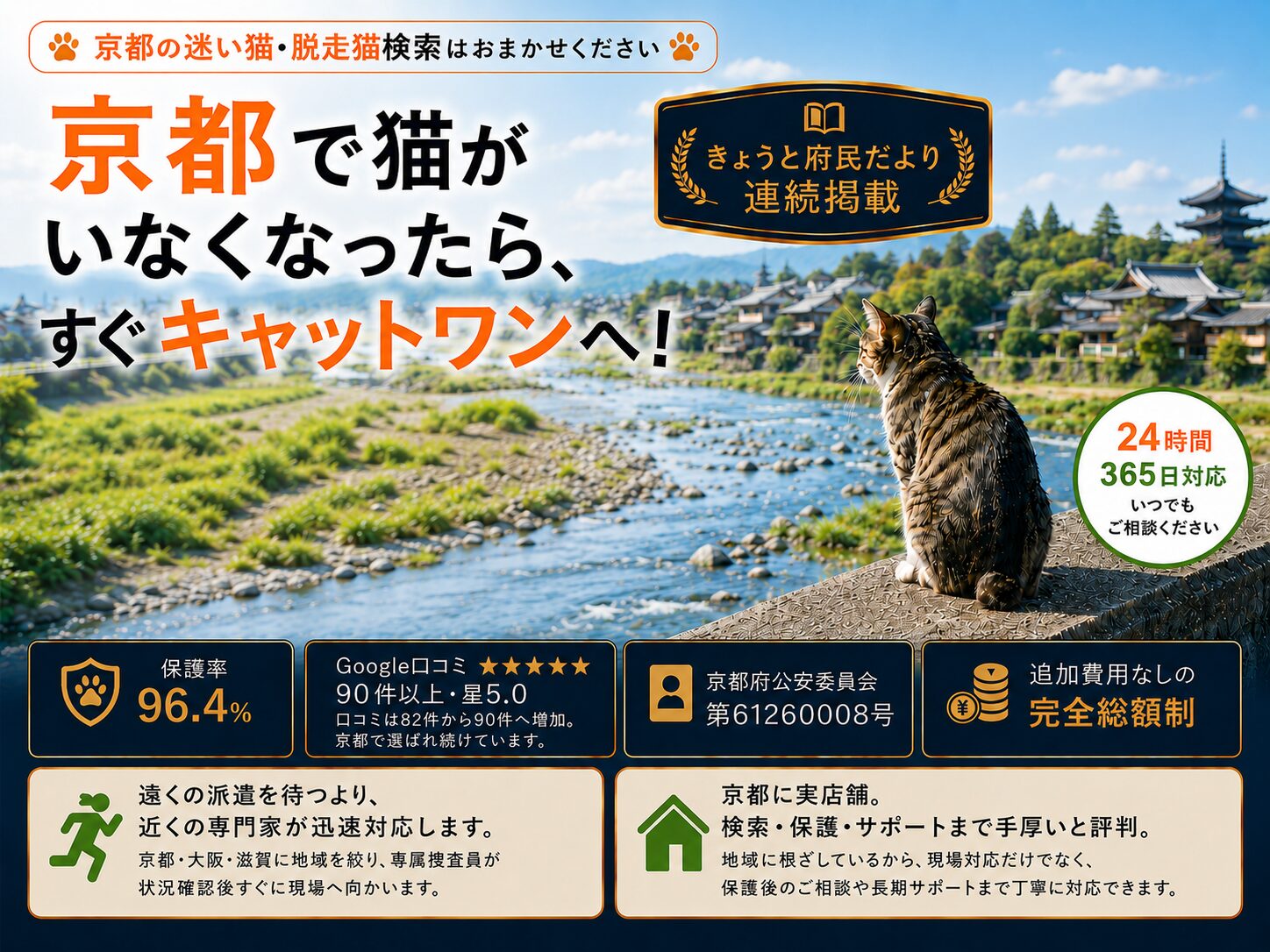 京都で迷子猫脱走猫はキャットワンへご依頼