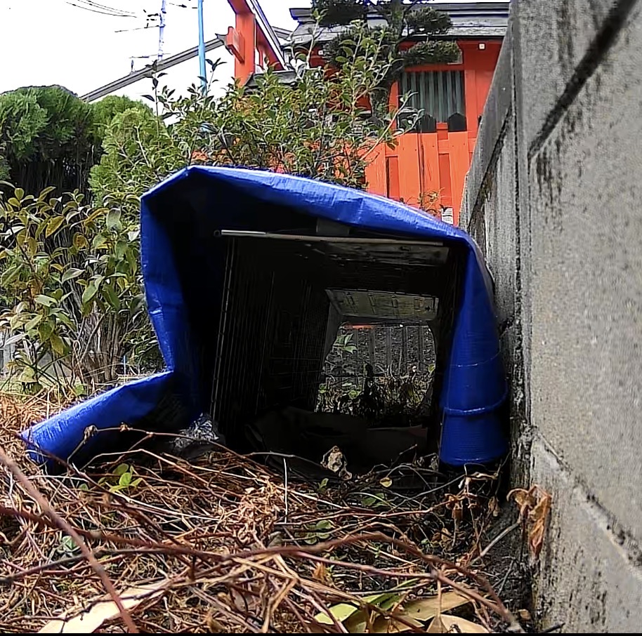 先が透けて見える特殊捕獲機