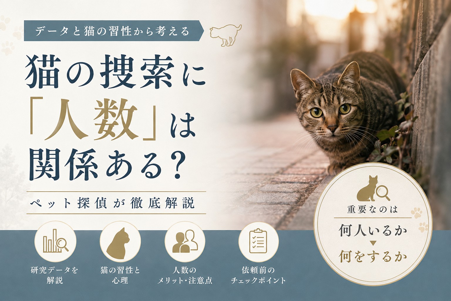 猫の捜索に「人数」は関係ある?ペット探偵がデータと習性から解説する記事のアイキャッチ画像