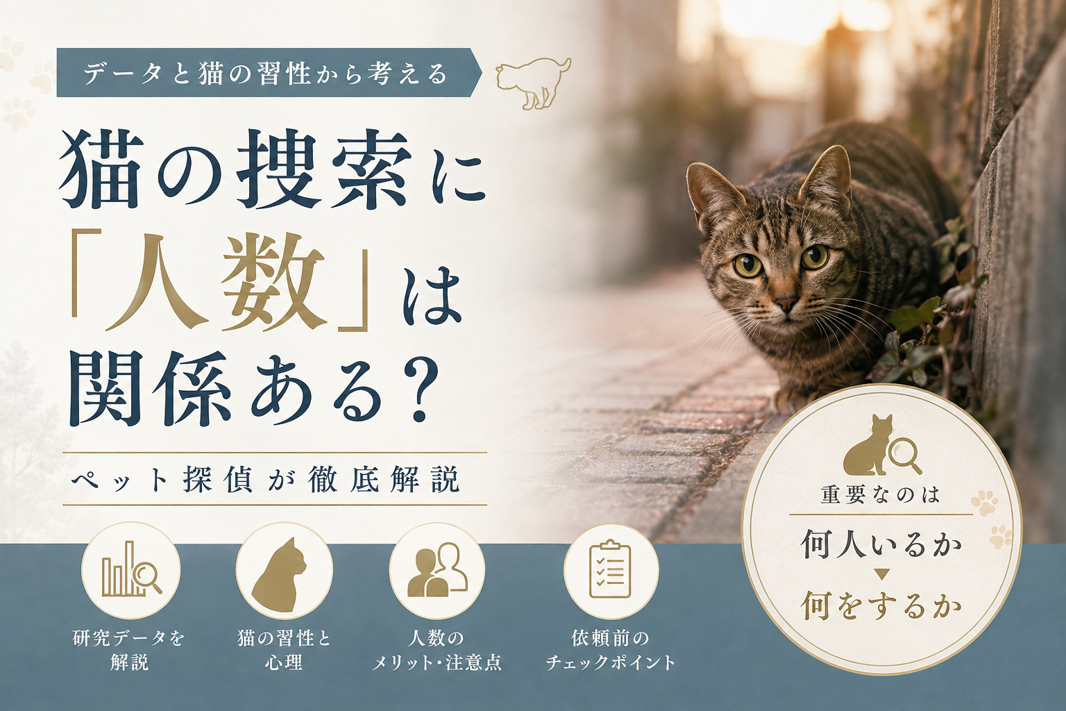 猫の捜索に「人数」は関係ある？ペット探偵がデータと習性から解説する記事のアイキャッチ画像