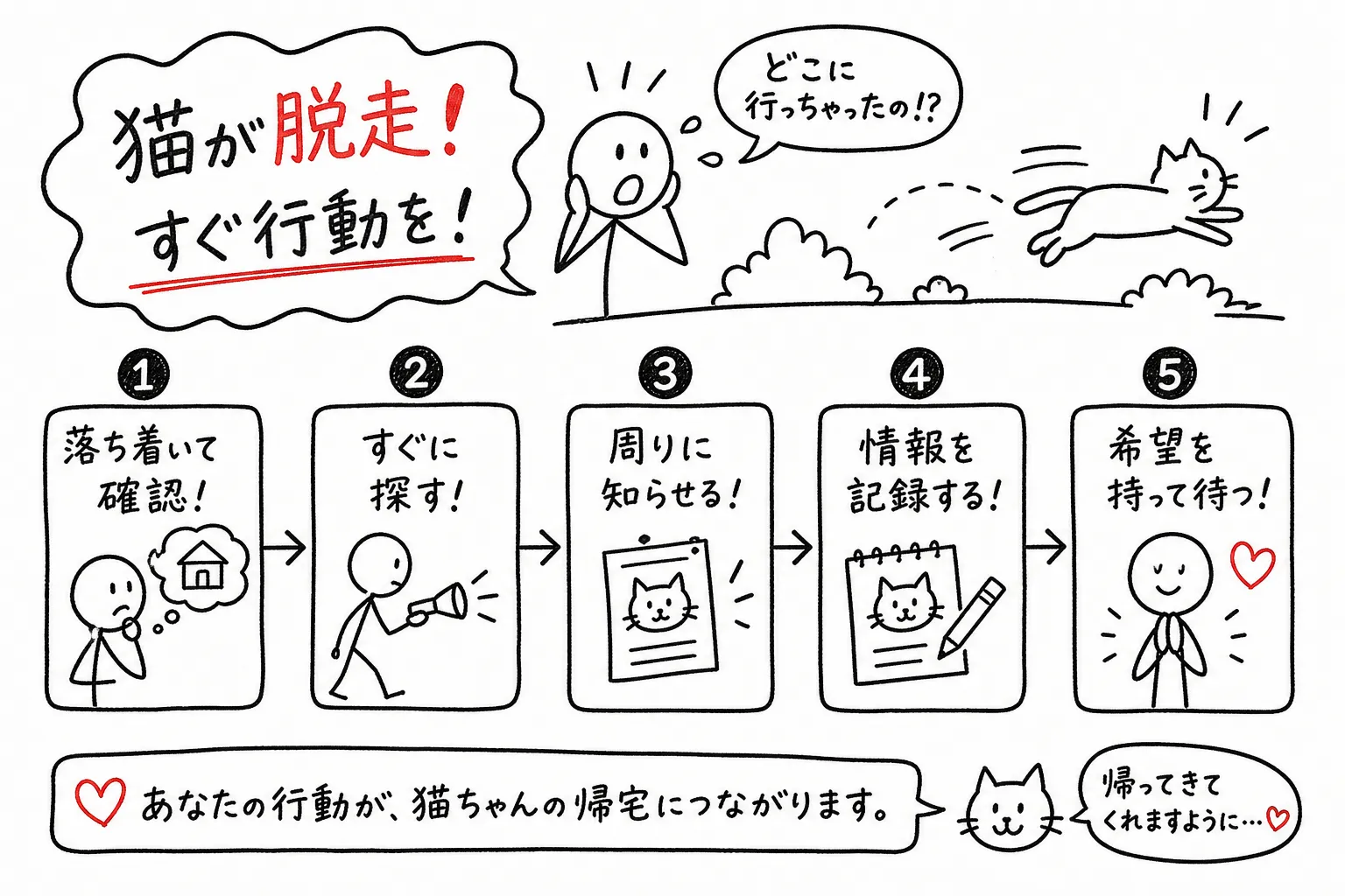 猫が脱走したらすぐやるべき対処法5ステップ