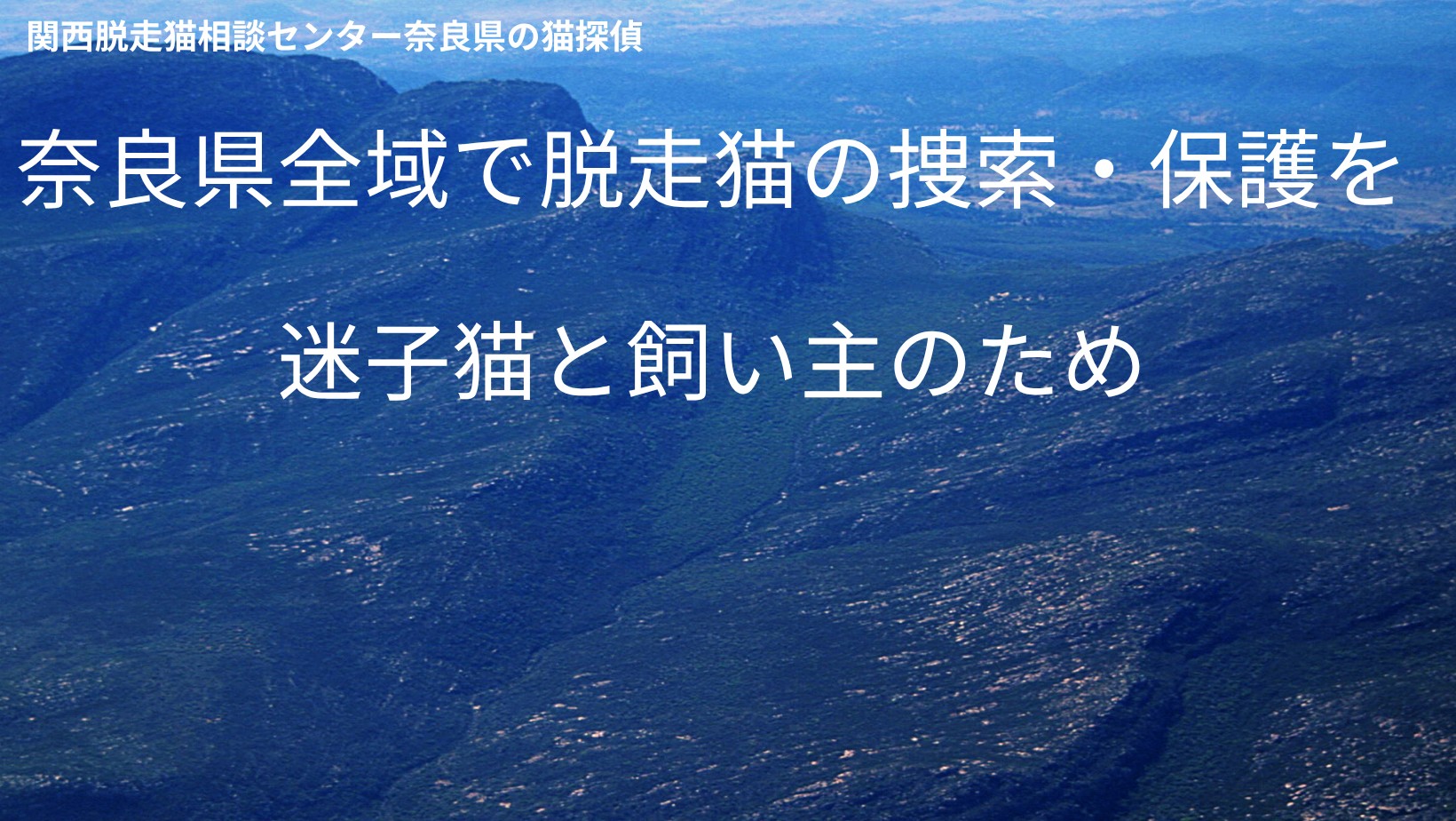 関西脱走猫相談センター 奈良県の猫探偵 奈良県全域で脱走猫の捜索・保護を 迷子猫と飼い主のため